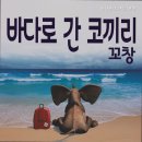 바다로간코끼리 네이버블로그