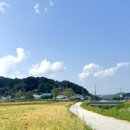 장동게이트볼장 이미지