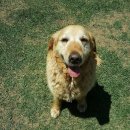 경안천 전대리 이미지