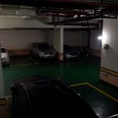 강남-257 이미지