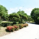 연산사거리 벌곡 방면 이미지