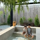 스테이호안 이미지