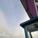 노비오스 | 경주 애견펜션 노비오스 강아지 수영장도 있어요