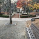 선주리들공원 이미지