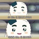 추억🌊