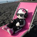 씨제이올리브영(주)용산리첸시아점 | 매복사랑니 뽑은 공시생 일상