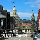5월, 뉴질랜드 여행을 계획중인 분들에게 (카드, 비자, 교통, 준비물 정보 등)
