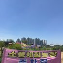 밝은농장 | 평택 소풍체험농장 산딸기 수확체험 후기_직접 따먹는 재미까지!