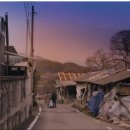 푸른노을 이미지