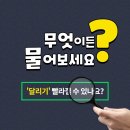 스피드 질 카카오 검색결과