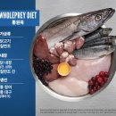 루니펫 | 오리젠 오리지날 독 5년째 급여 중인 강아지 대용량 사료 추천