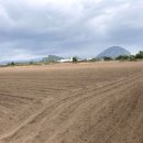 상모1리사무소 이미지