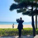 더모아인셀덤