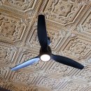 아날로그소사이어티 | 분위기 좋은 강릉브런치맛집 아날로그소사이어티