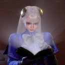 장풍숲위 이미지