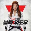 블랙위도우 이미지