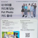 The Pet 이미지