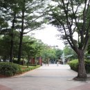 왕산어린이공원 이미지