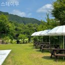 스테이무