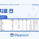 미래종합동물병원 이미지