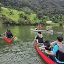 홍천인터넷신문