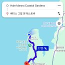 세부여행- 모알보알 숙소 Hale manna Coastal Gardens 후기 (조식, 레스토랑, 장단점)