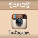 타이거볼더