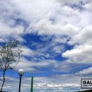 에이치gallery