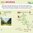 원주굽이길 12코스 무실과수원길 | 원주소풍길 4코스 용화산풍경길 (2024.9.19.)