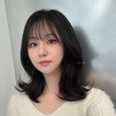 하모니빌드