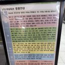 서문불고기 | 대구 서문시장 맛집, 든든하게 한 끼 먹기 좋았던 서문시장 든든식당 후기