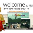 테지움사파리 이미지