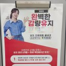 (주)쥬비스다이어트 노원점 | 쥬비스 노원점 후기 내 생애 마지막 다이어트 이길...