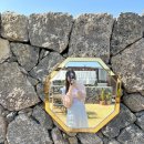 고븐달 제주 이미지