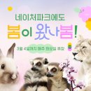 네이처파크플라워페스티벌 Daum카페