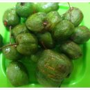 금이농장 이미지