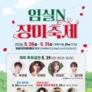 벨리댄스 | 2026 임실N장미축제 완벽 가이드 | 제1회 임실 장미축제 기간 입장료 프로그램 주차 꿀팁 총정리🌹