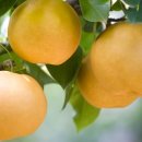 가든이화 이미지