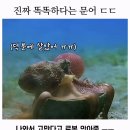 마라의샘 | 사람을 믿지 마라 상황을 믿어야지