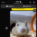 루루비