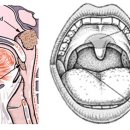 둔산한의원 이미지