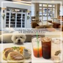 오아시스 | 남양주맛집) 별내동카페거리 애견동반 가능한 ‘데일리오아시스’ 내돈내산 후기