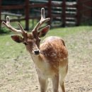 광명로 361번길 이미지