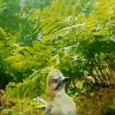 아라 일출 이미지