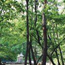 충주종합관광안내소 이미지