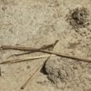 나포농장 이미지