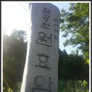 대동식당민박 이미지