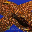 한국화발전소 이미지