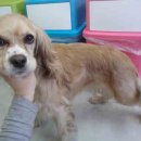 2015-03-0209 네이버블로그