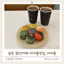 슈슈마카롱 | 첨단카페 추천! 마카롱 맛집 아싸롱에서 한입마카롱과 뚱카롱 즐기기